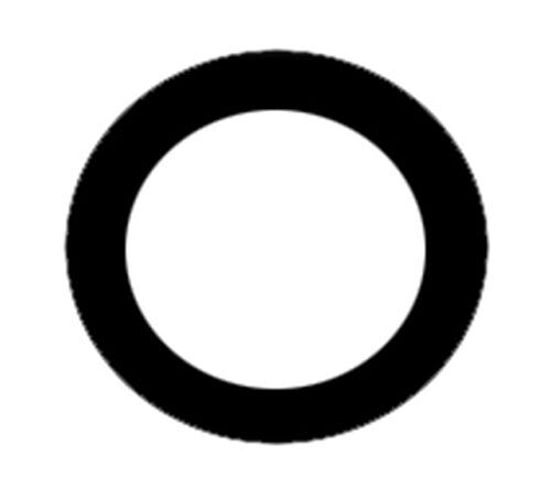 O-Ring - Image 1